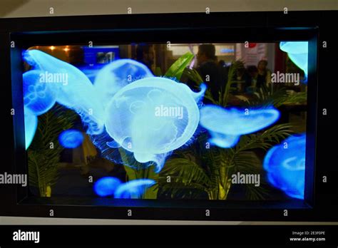 Holographic transparent OLED showcase display floating 3D digital graphics over physical product plinth on expo floor